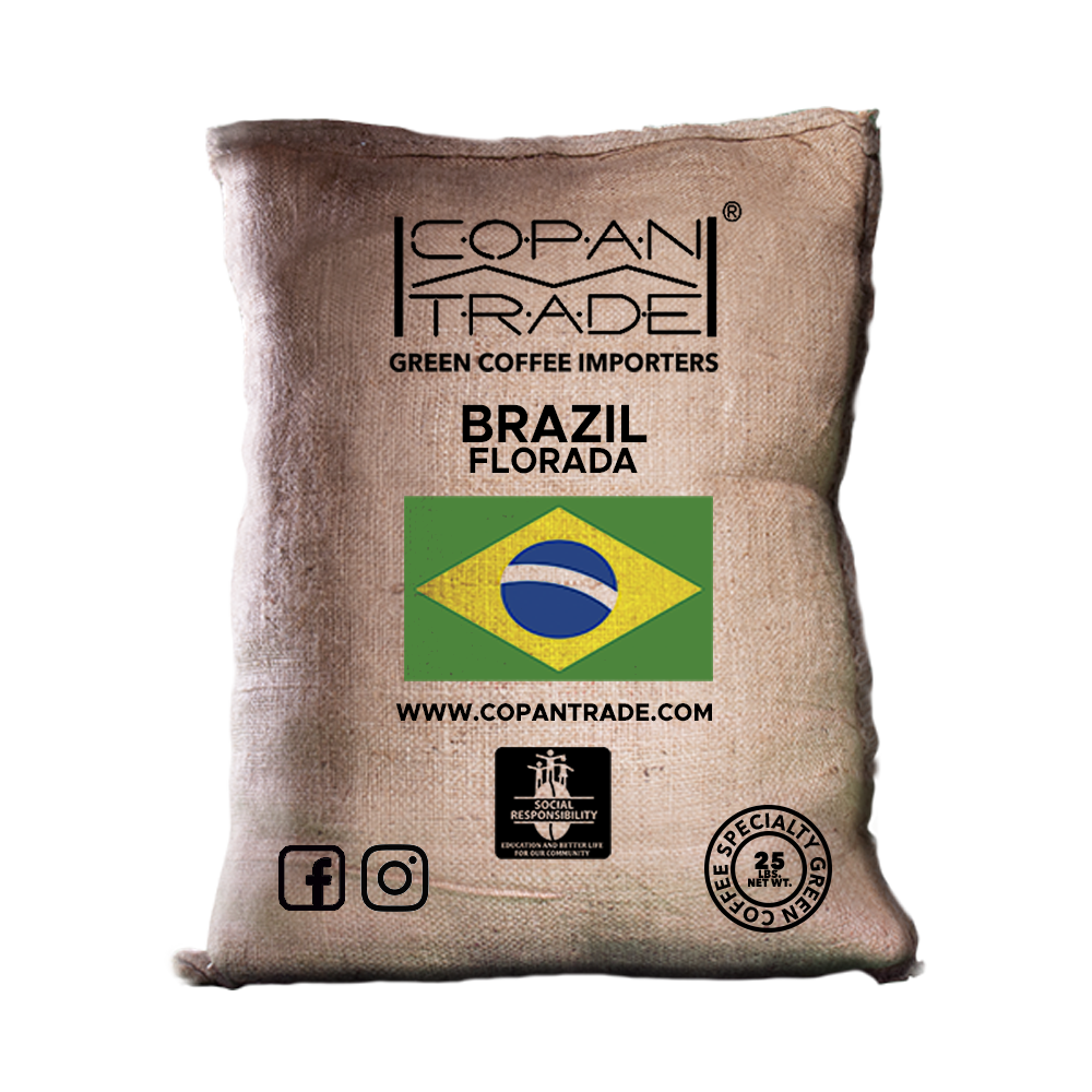 BRAZIL NY2 17/18 FINE CUP FLORADA BRAZIL NY2 17/18 FINE CUP FLORADA