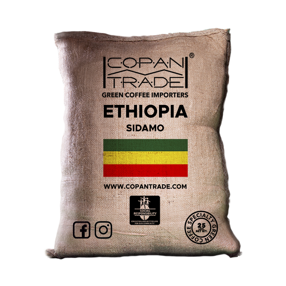 エチオピア シダモ G-2 WASH 10kg ETHIOPIA SIDAMO G2