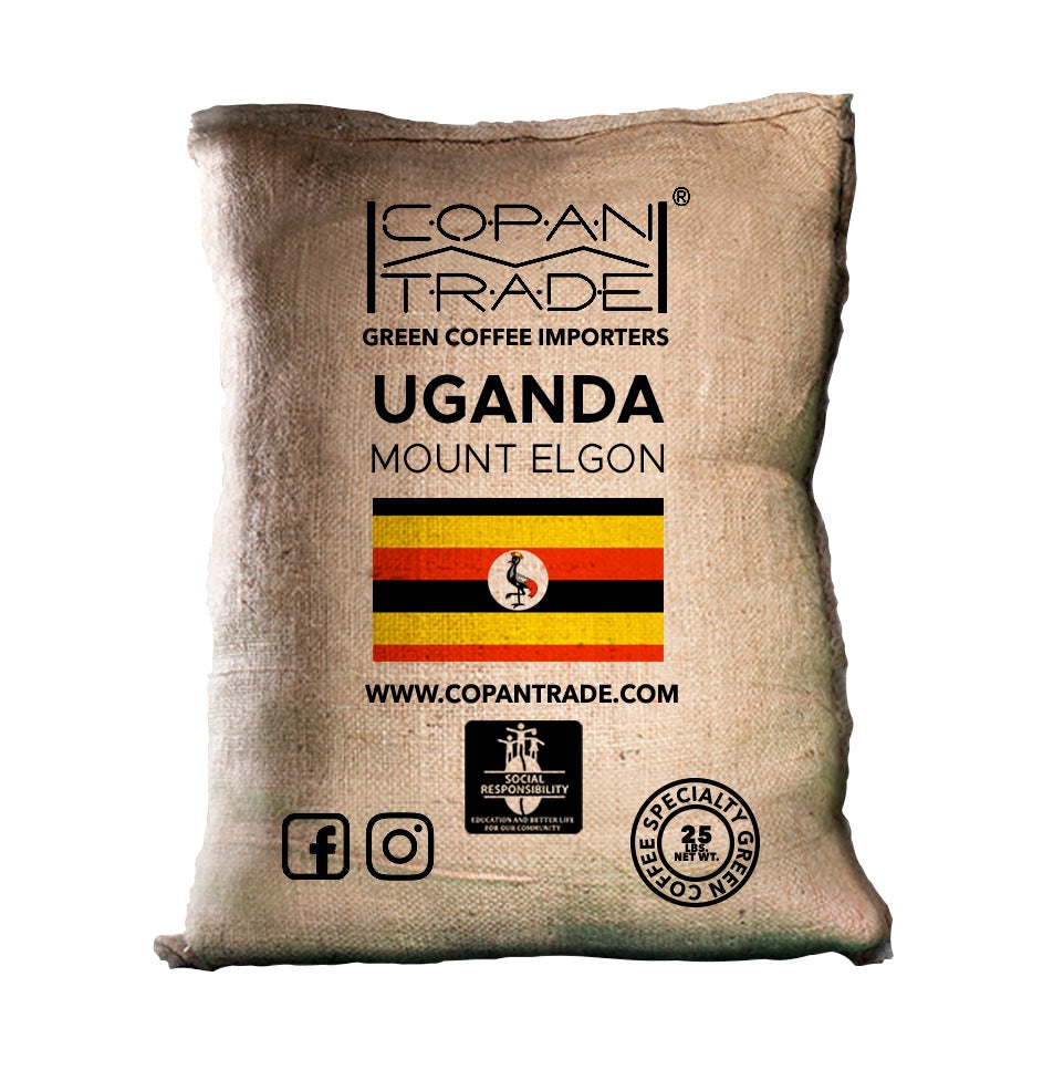 UGANDA MOUNT ELGON ORGANIC