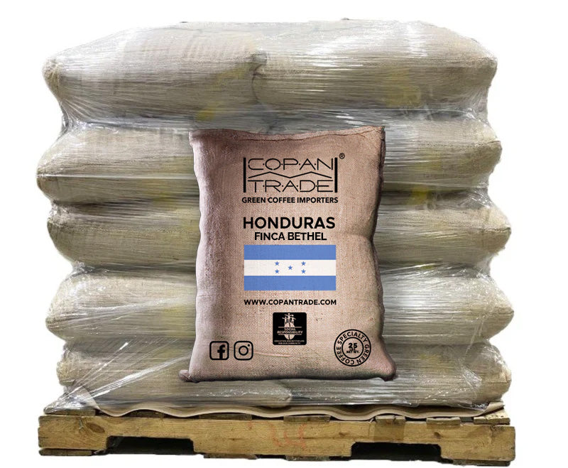 HONDURAS FINCA BETHEL 10 69KG Bag (8363720081655)