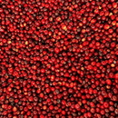 A close-up, top-down view of many red coffee cherries.