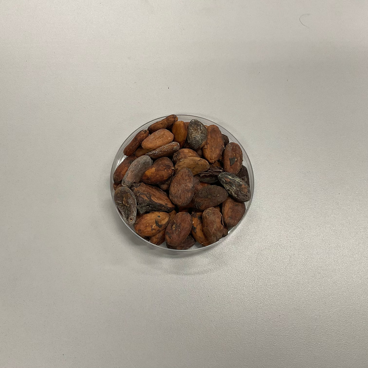 IVORY COAST GFMC CACAO (Good Fermented Main Crop)