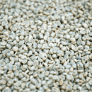 A close-up, top-down view of many raw coffee beans filling the frame, showing their green tones.