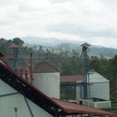 Ariel view of a coffee farm in Costa Rica