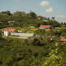 A scenic outdoor view of a coffee farm with greenhouses, silos, and several houses with red roofs in Costa Rica.