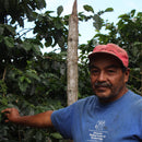 HONDURAS EL CEDRAL REGIONAL
