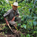 HONDURAS EL CEDRAL REGIONAL