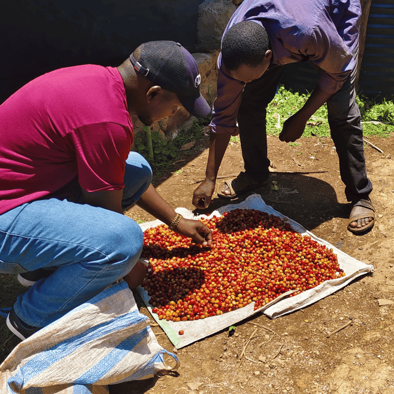 KENYA KERICHO AA