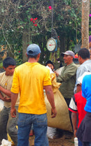 HONDURAS FINCA BETHEL