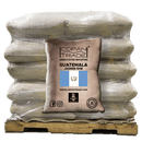 GUATEMALA JASMIN SHB EP 69KG - 6 Bags