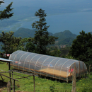 Honduras EL CONQUISTADOR coffee farm with a scenic mountain view in the background