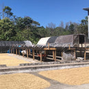 Honduras Finca El Legado
