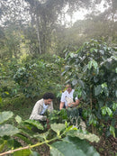 FINCA EL MANZANAL HONEY (5669511168149)