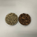 comparison of Honduran green unroasted coffee beans with finished roasted beans in two containers