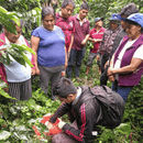 A group of people gathered outdoors in a coffee farm, with one person crouching down to inspect while others observe.