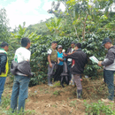 A group of people standing outdoors in a coffee farm in Peru.