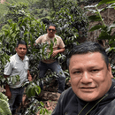 Three men standing on a coffee plantation with green coffee plants and trees in the background.