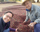 Two farmers harvesting raw coffee beans on a farm in Brazil