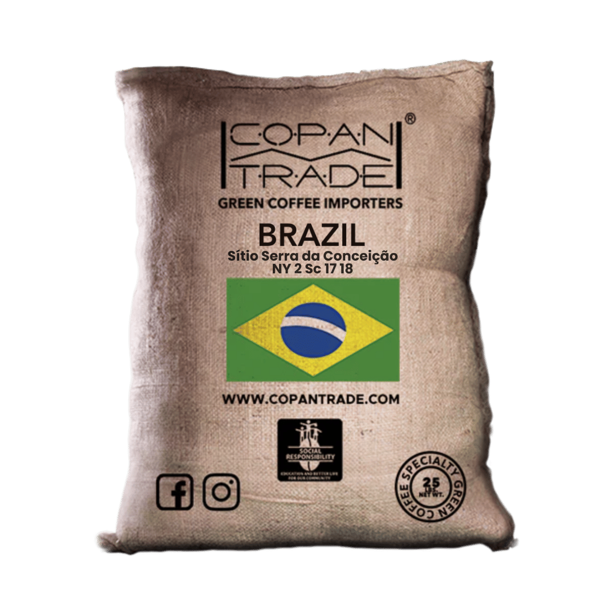 標本 Brazil Pelidnota cyanitarsis 20mm Brazil Sítio Serra da Conceição Green Coffee NY2 17/18 | Copan