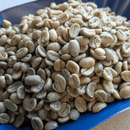 A close-up pile of raw, unroasted coffee beans in a light green color, piled inside a blue container.