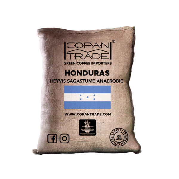 heyvisanaerobic_600x600_crop_c