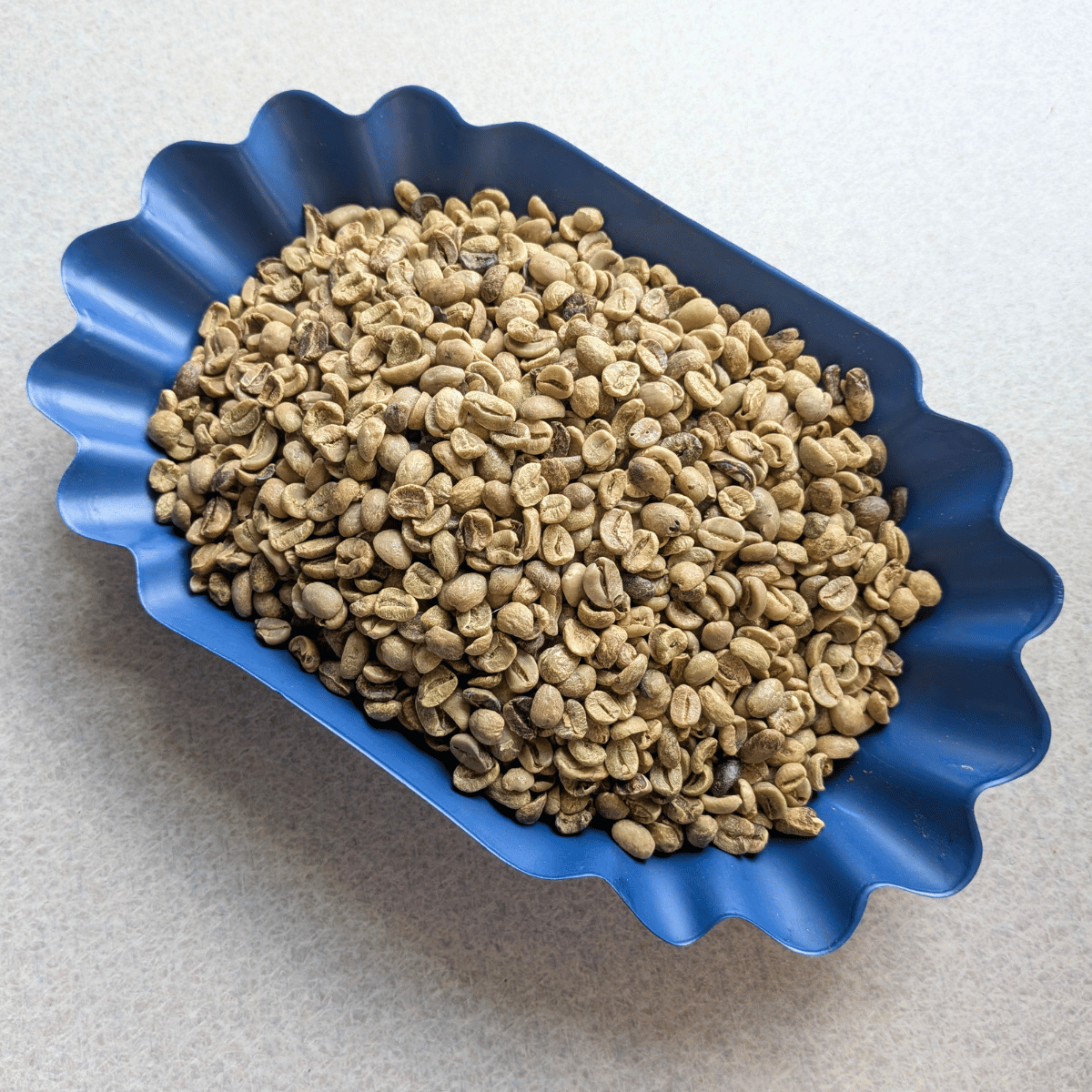 小麦 Honduras Del Campo Green Coffee Beans | Copan Trade | COPANTRADE
