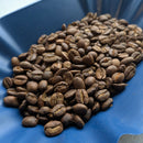 HONDURAS EL CEDRAL REGIONAL