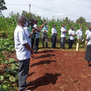 KERICHO AA (8066195816695)