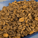 A close-up of unroasted mwp decaf coffee beans from Mexico in a blue container.