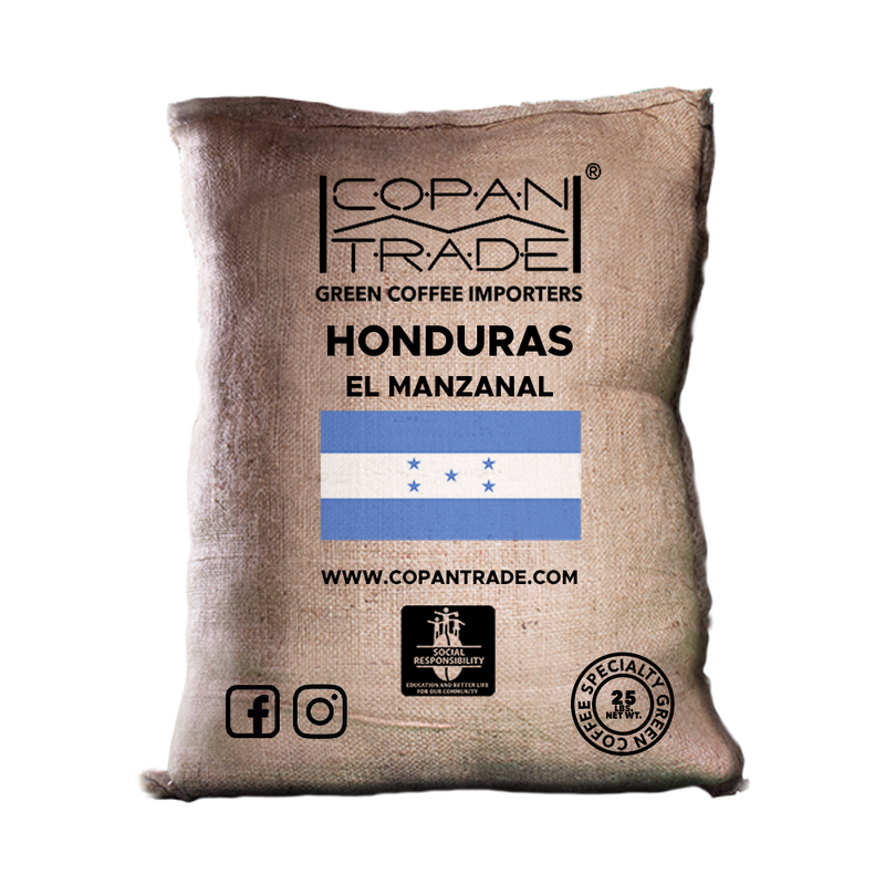 EL MANZANAL HONEY (5669511168149)